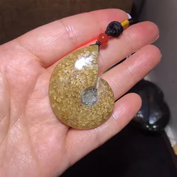 Gamtos Ammonite Fosilijos Pakabukas myli Iškastinio Akmens Kristalų Pakabukas dovanų