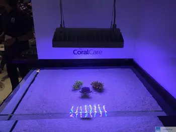 DW Akvariumas CoralCare 190W LED