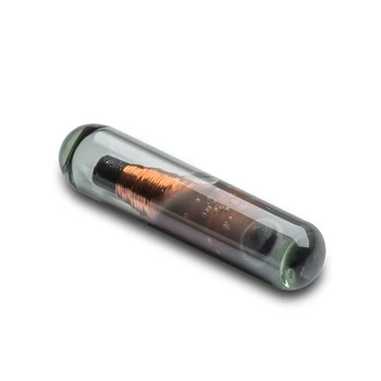20pcs RDA Identifikavimo bioglass danga, Aukštos kokybės micerchip stiklo žymeklį 2.12x12mm
